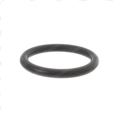 Picture of O-Ring