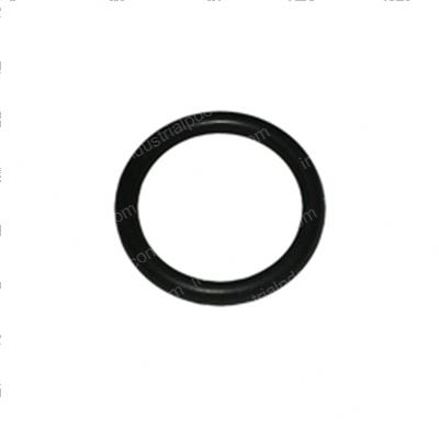 Picture of O-Ring