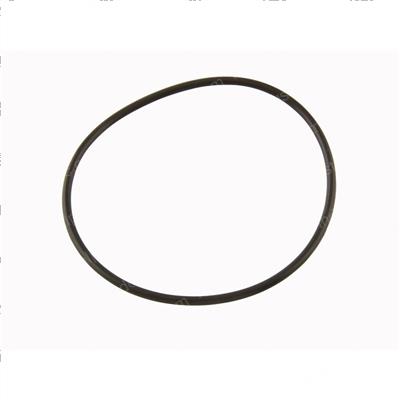 Picture of O-Ring