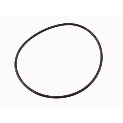 Picture of O-Ring