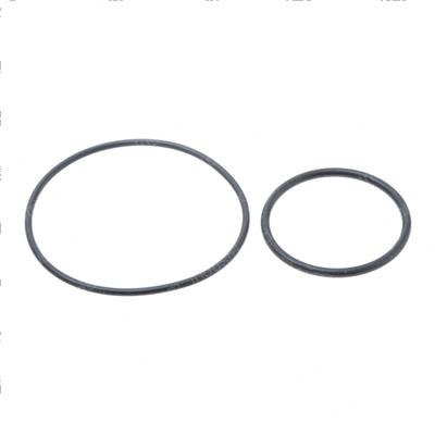 Picture of O-Ring