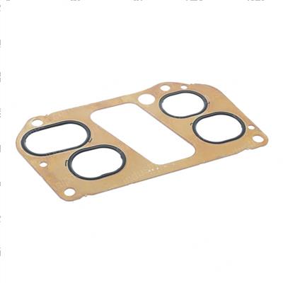 Picture of Gasket