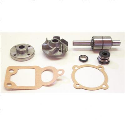 Picture of Pump Kit  Water