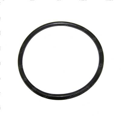 Picture of O-Ring