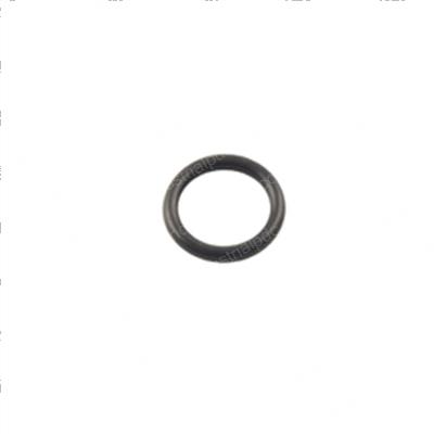 Picture of O-Ring