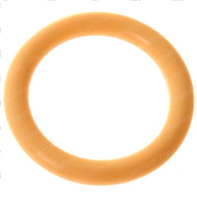 Picture of O-Ring