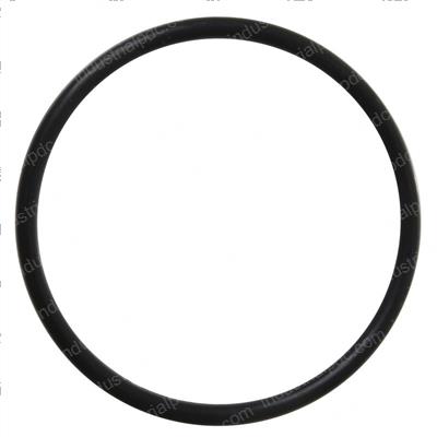 Picture of O-Ring