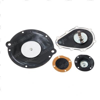 Picture of O/H Kit Diaphragm