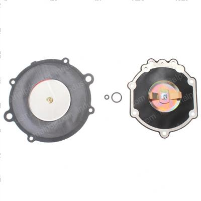 Picture of Diaphragm Kit