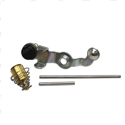 Picture of Overhaul Kit - Valve