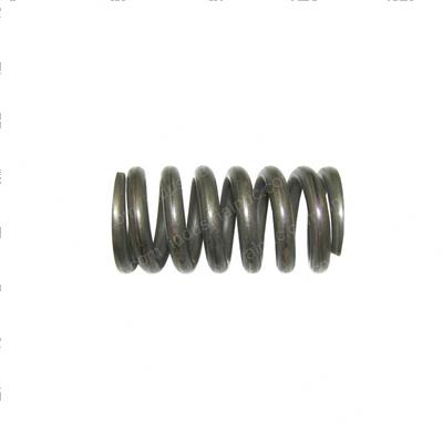 Picture of Spring -  Compression