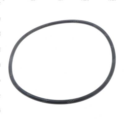 Picture of O-Ring