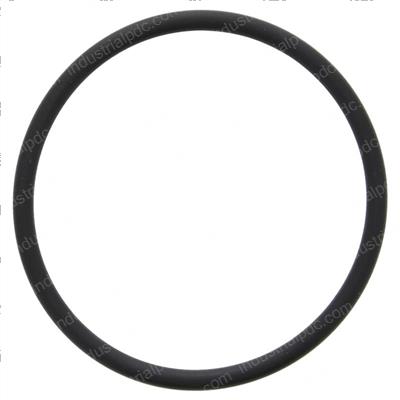 Picture of O-Ring  Interpart