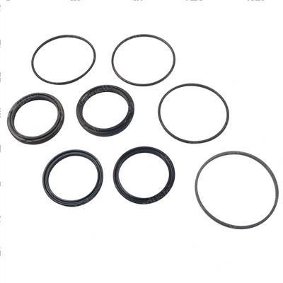 Picture of Seal Kit - Cylinder Overhaul