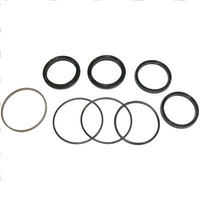 Picture of Overhaul Kit - Cylinder