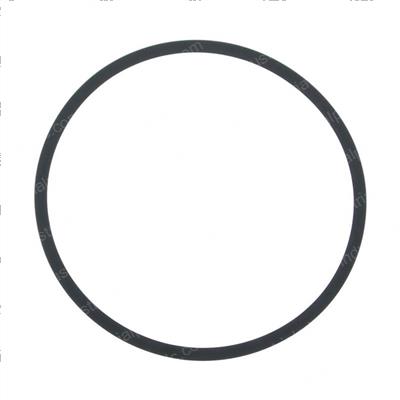 Picture of Seal Ring