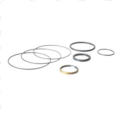 Picture of Seal Kit - Orbitral Valve
