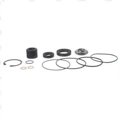 Picture of Overhaul Kit - Steering