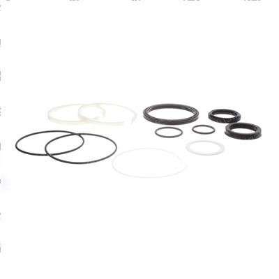 Picture of Seal Kit -  Cylinder Overhaul