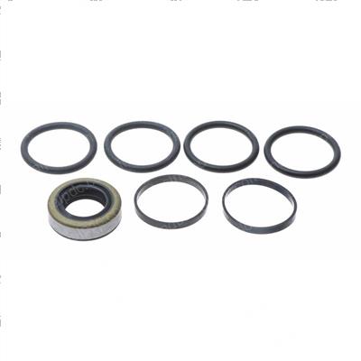 Picture of Pump O/H Kit