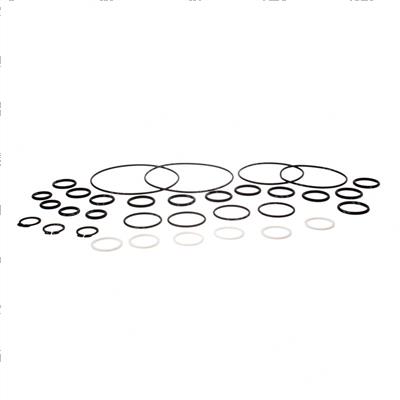 Picture of Seal Kit - Control Valve
