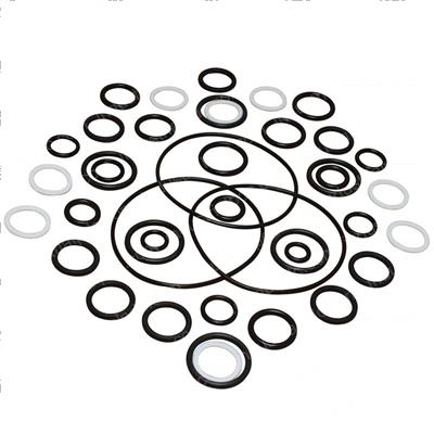 Picture of Seal Kit -  Cylinder Overhaul
