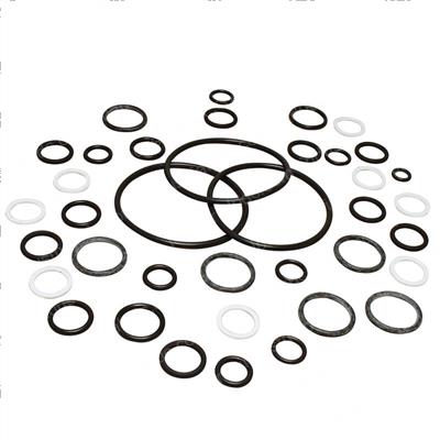Picture of Seal Kit -  Cylinder Overhaul