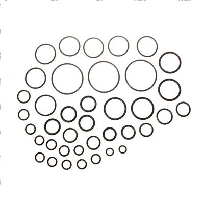 Picture of Overhaul Kit - Valve