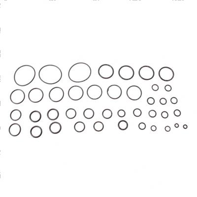 Picture of Overhaul Kit - Valve