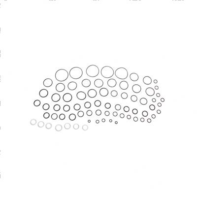 Picture of Valve O/H Kit- Oil C