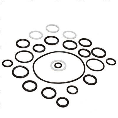 Picture of Seal Kit - Cylinder Overhaul