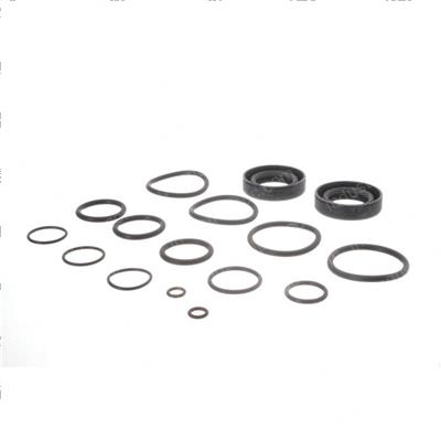 Picture of Overhaul Kit - Valve