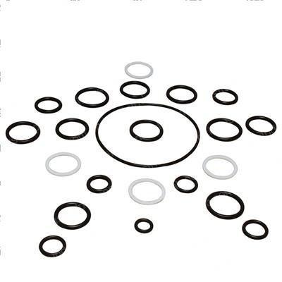 Picture of Seal Kit -  Cylinder Overhaul