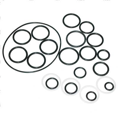 Picture of Seal Kit -  Cylinder Overhaul