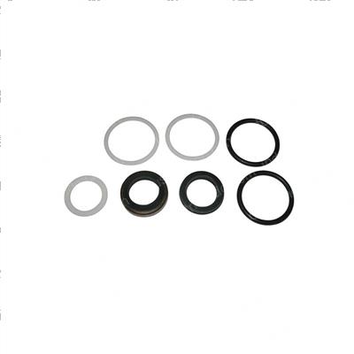 Picture of Overhaul Kit - Cylinder