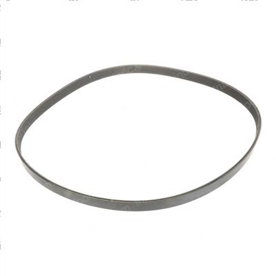 Picture of Belt Serpentine 4mm X 118