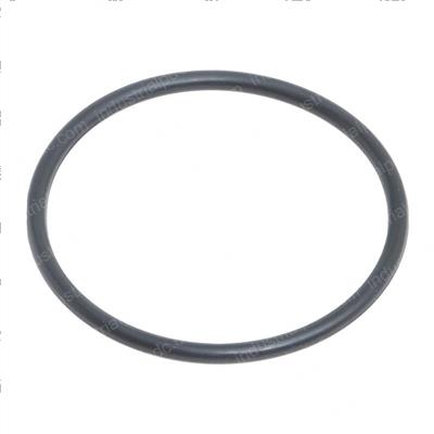 Picture of O Ring