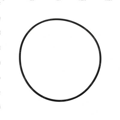 Picture of O-Ring