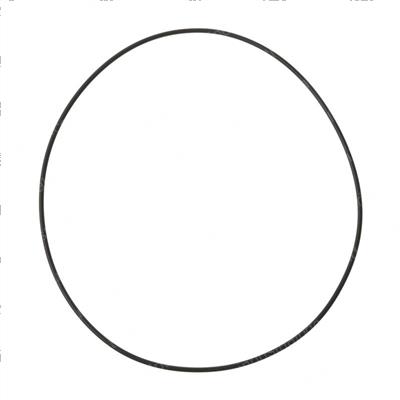 Picture of O Ring
