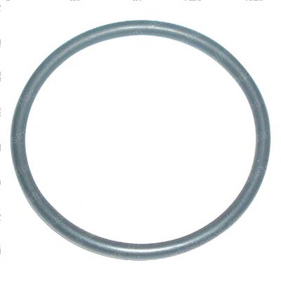 Picture of O-Ring