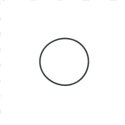 Picture of O-Ring