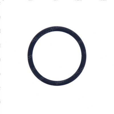 Picture of O-Ring
