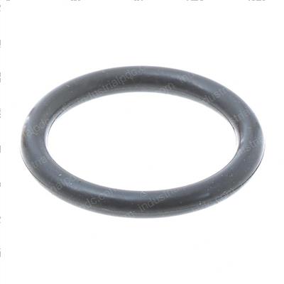 Picture of O-Ring