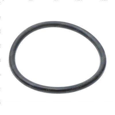 Picture of O-Ring