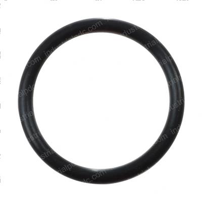 Picture of O-Ring