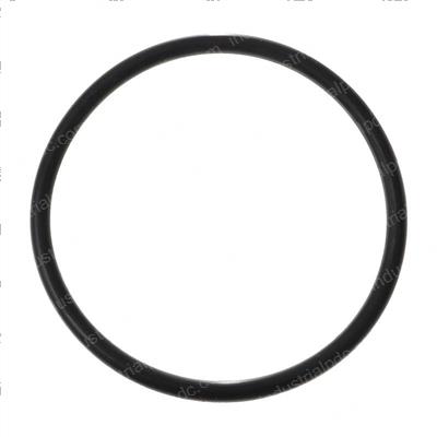 Picture of O Ring