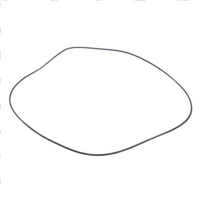 Picture of O-Ring