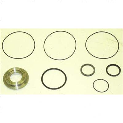 Picture of Valve Kit - Overhaul