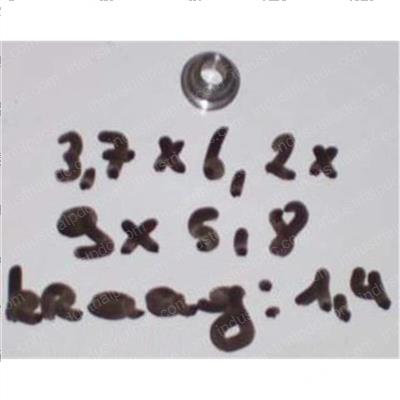 Picture of Guide - Spring