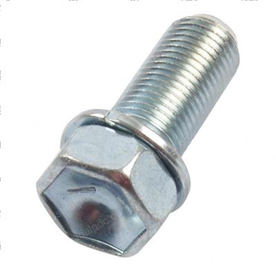 Picture of Bolt
